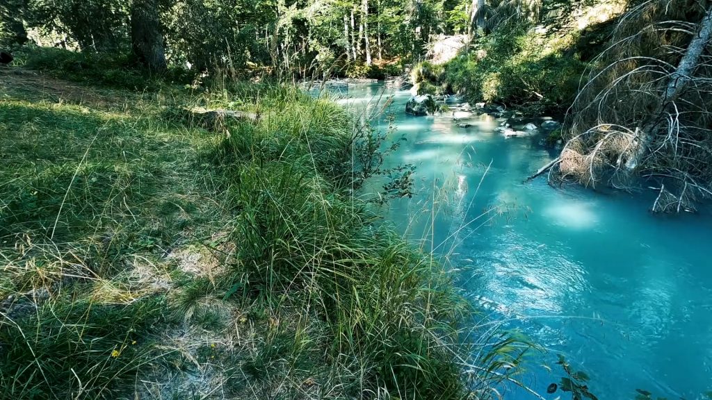 Forest Spring With Soothing Nature Sounds
