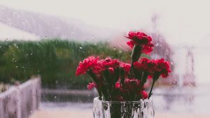 watch relaxing rainfall with calming music