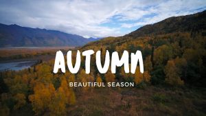 autumn season scenes vidoe with relaxing piano music