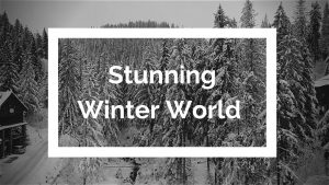 stunning winter world video to relax and reduce stress