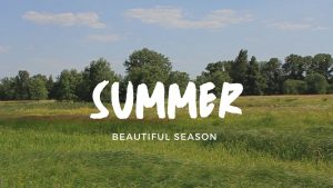 summer season video