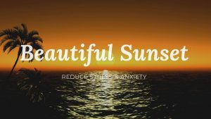 beautiful tropical sunset relaxation video